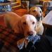 Adam Raabe - Facebook