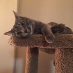 Adam Raabe - @my_name_is_mushu_ - Instagram