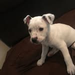 Adam Rabe - @adamrabe - Instagram