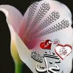Adamrabe Rsbe - @adamrabersbe - Instagram