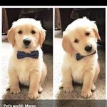 adam rabih - @adam_rh6 - Instagram