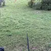 Adam Trace - @adamtrace4 - TikTok