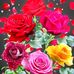 Adam Rafik - Facebook