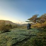 Adam Rector - @adam.rector.927 - Instagram