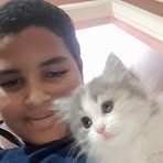 Adam Reda - Facebook