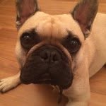 Adam Rendell - @adamrendell - Instagram