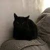 Adam Ring - @adamring13 - TikTok