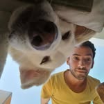 Adam Ringel - @ringeladam - Instagram
