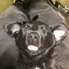 Adam Starinsky - @adamstarinsky - TikTok