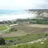 adamrynski - @adamrynski - TikTok