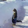 Adam - @adamross - TikTok