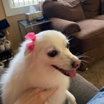 Adam Rothwell - @adam.rothwell.186 - Instagram