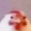 Adam - @adamrowley1211 - TikTok