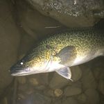 Adam Rowley - @adam.rowley.37 - Instagram