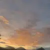 adamrule - @adams.rules - TikTok