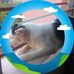 Adam Runner - Facebook