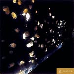 adam_sayers - @adamsayers58 - Instagram