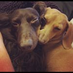 Adam Scanlan - @asb_4778 - Instagram