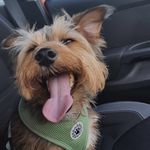 Adam Scanlon - @scanlon88 - Instagram