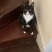 Adam Scanlon - Facebook