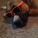 Adam Schaffner - @adam_schaffner4 - Instagram