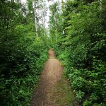 Adam Schaubel - @adamschaubel - Instagram