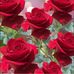 Adam Shhab - Facebook