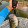 Adam Scheile - @firedad71 - TikTok