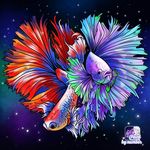 Adam - @adam__selm - Instagram
