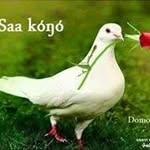 Adam Semo - @mahamod.adam11 - Instagram
