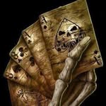 Adam Shell - @adamshell3 - Instagram
