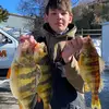 adam_shep - @adam_shep - TikTok