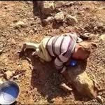 ادم شنكالي - @adam_shingali - Instagram
