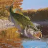 adam.f1shing - @adam.f1shing - TikTok