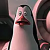 adamshinge - @adamshinge - TikTok