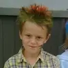 adamshoberg - @adamshoberg - TikTok