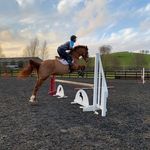 Adam Short - @adamshort_ - Instagram