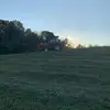 adamshort1 - @adamshort1 - TikTok