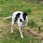 @adamshort2010 - Instagram