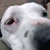 adamshort221 - @adamshort221 - TikTok