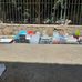 Adam shoup - Facebook