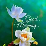 Adam Shown - @anuragkedar222072002 - Instagram