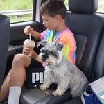 Adam Shrader - @shraderadam - Instagram