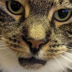 Adam Shutt - @adamshutt978 - Instagram