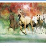 Anyq Bas Gylym - @adam_shyn_qalasa - Instagram