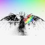 ASM - @adamshymusic - Instagram