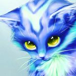 Adam sidor - @animal_worldds - Instagram