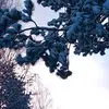 Adam Sieger S.-G. - @adam.sieger.s.g - TikTok