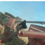 Adam Siegfried - @siegfried3496 - Instagram