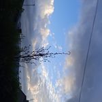 Adam Sierra - @adam___sierra_ - Instagram